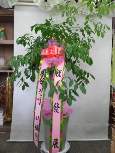 8/8 ѱǼ Ʈ