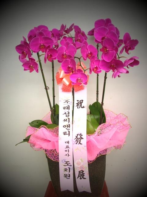 8/12 ¼Ƽ 糭