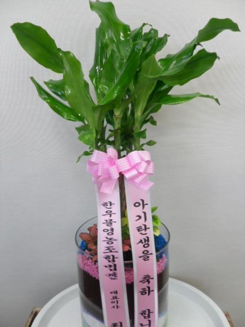 8/20 ѿ칰 Ĺ