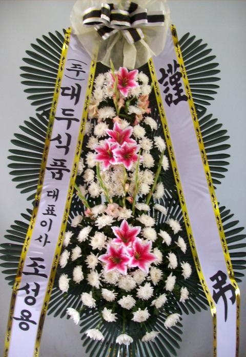 8/28 νǰ ȭȯ