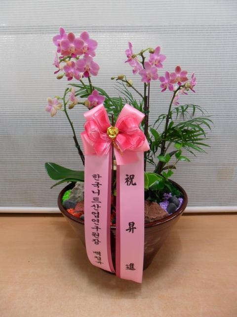 9.17 Ʈ 糭