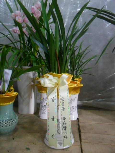 12/20ü 糭