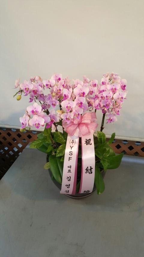 迵*