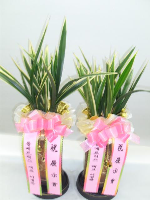 3-11 ѸƮ 糭