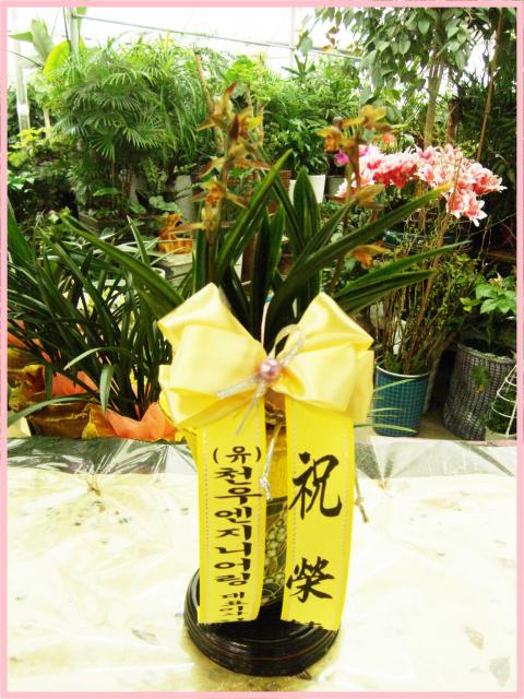 3-23ȸ 糭