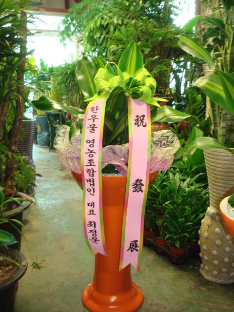 4-12 ѿ칰 