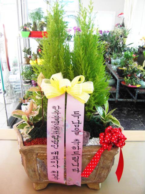 4-12 ѿ칰 