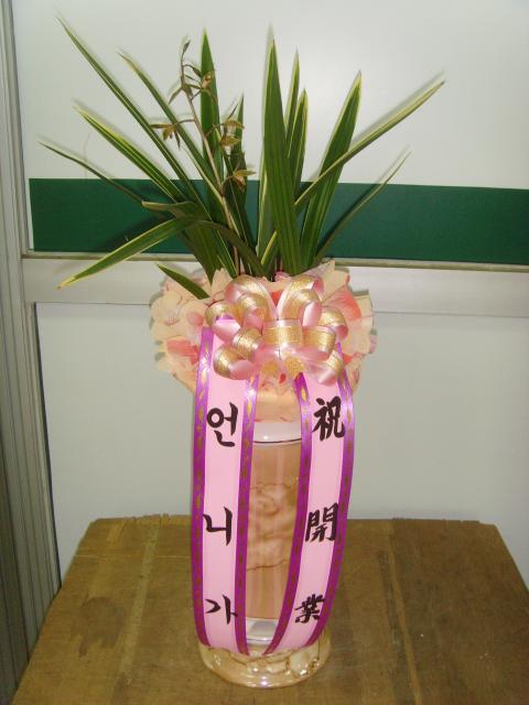 4-14 ´ 糭