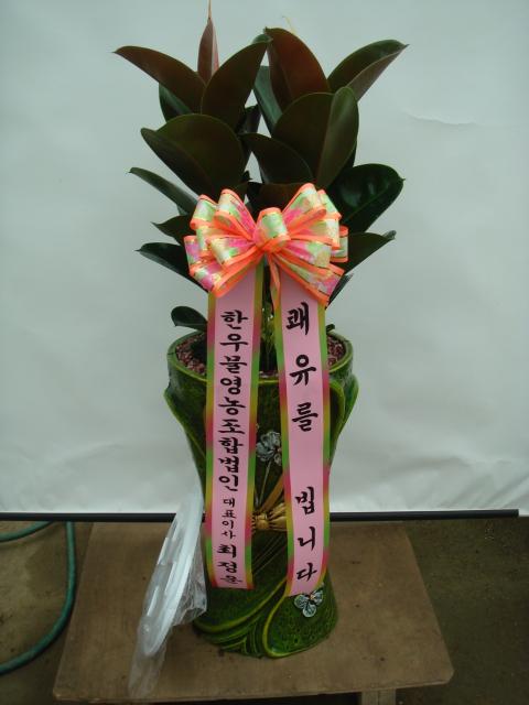 4-19 ѿ칰 