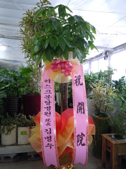 4-28 躴 Ű