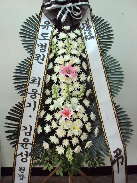 5-04 κ 3