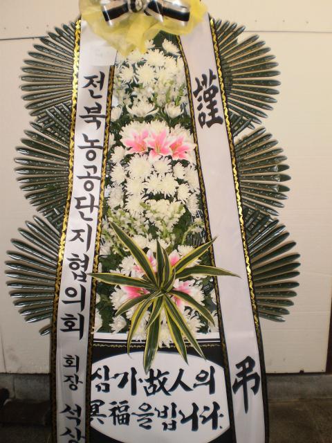 5-06 Ŵ 3