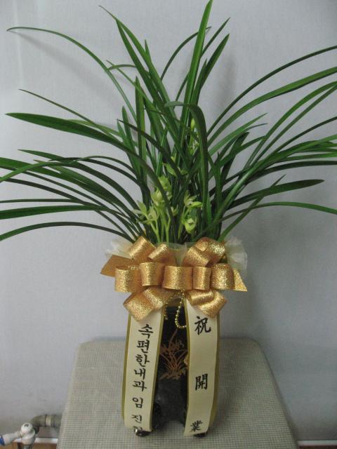 5-19 ȯ 糭
