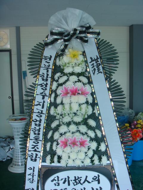5-20 Ŵ 