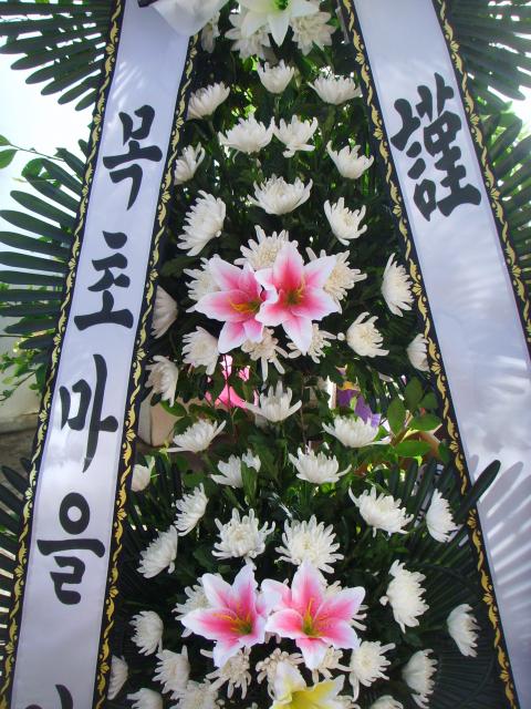 5-26 ʸ 3