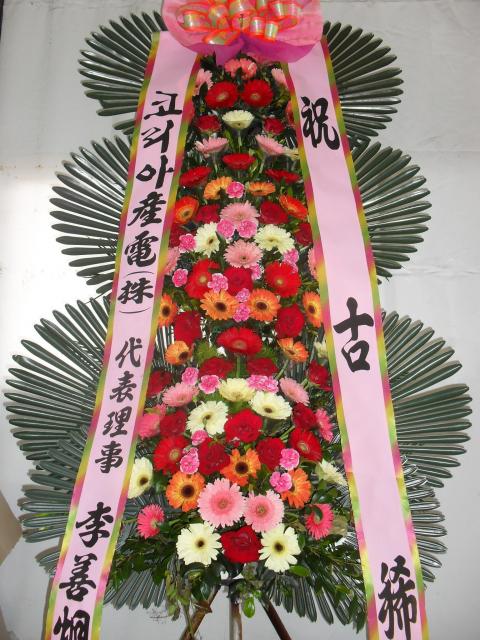 5-29 ̼ 3