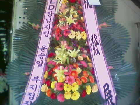 6-04뼺 3