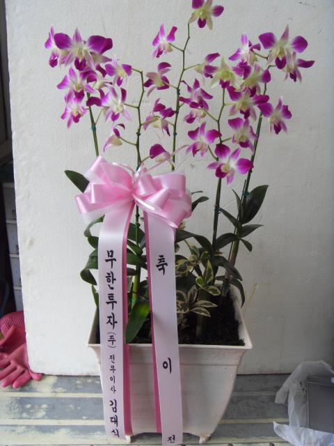 6-11 ڴ 糭