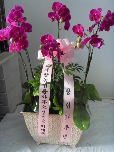 6-14 ̴뺹 糭