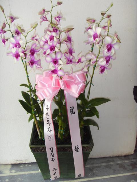 6-27 ڴ 糭