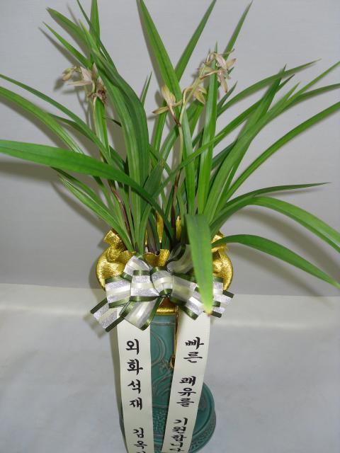 6-30  糭