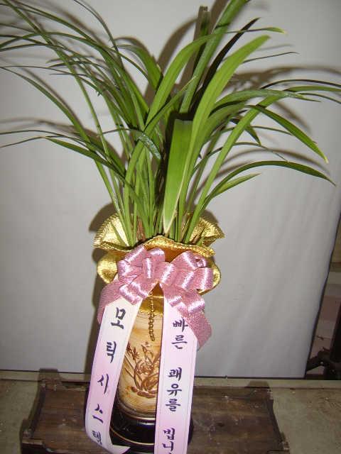 7-02 ƽý 糭