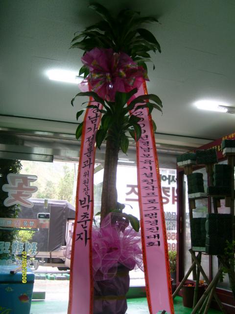 7-08  