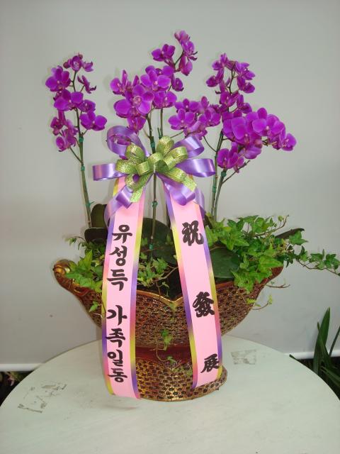 7-10  糭