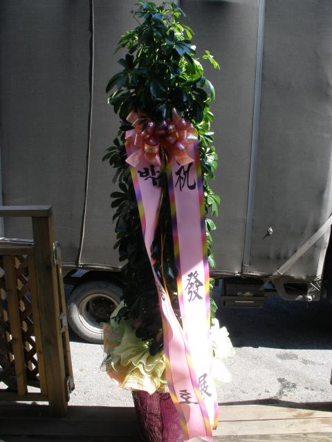 8-09 ڿȣ ȭ