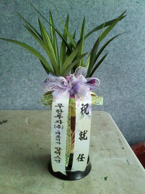 8-11  糭
