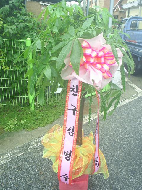 8-12 躴 ȭ