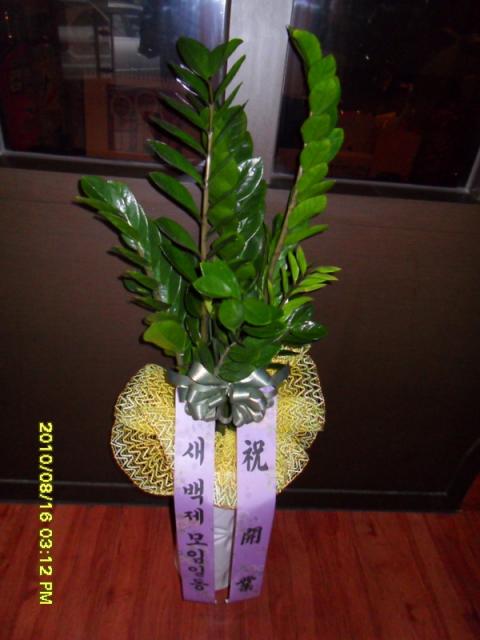 8-16 Ӵ 