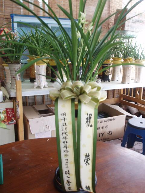 8-18 ڴ 糭