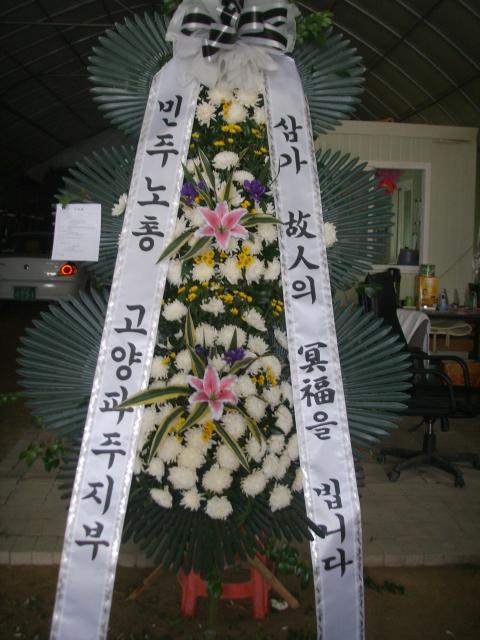 8-19  3