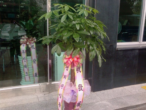 8-19 ڿȯ Űʹ