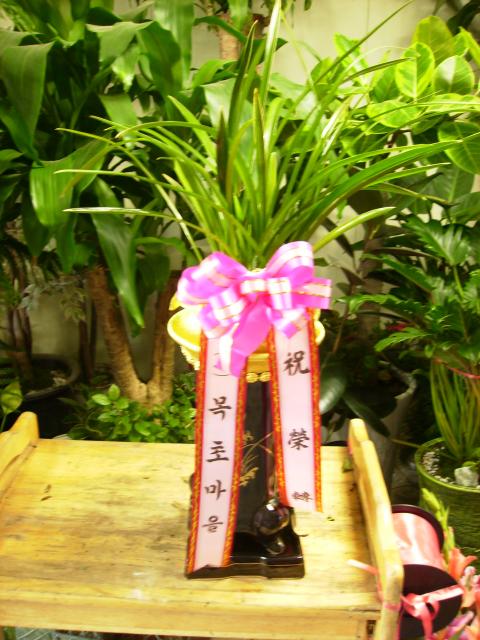 9/04 ʸ ȭ