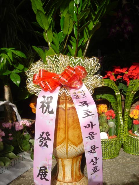 9-08 ʸ 