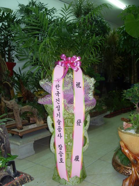 9-11 ѱǼ 