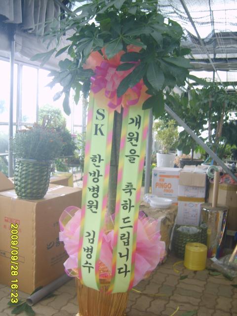 9-28 躴 Űʹ